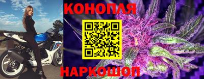 крисы Изобильный