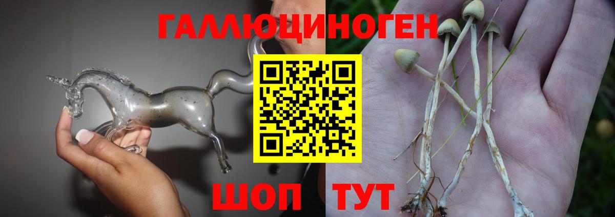 Кимры  Галлюциногенные грибы Psilocybe  Вход с VPN 
